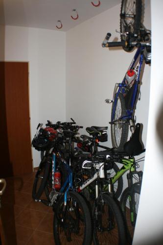 Apartment Albrechtice