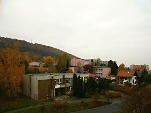 Apartment Gagarinova
