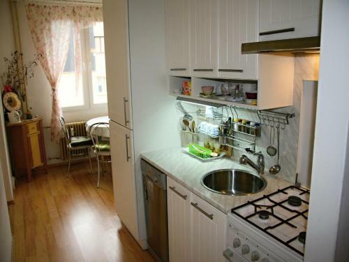 Apartment Gagarinova