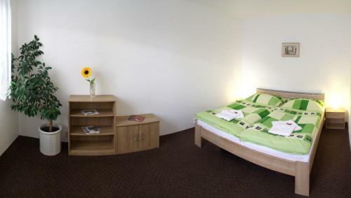 Hostal Penzion Jelen