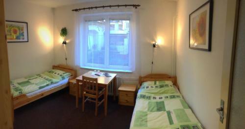 Hostal Penzion Jelen