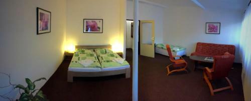 Hostal Penzion Jelen