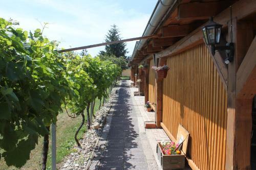 Apartm�n L�pa Mikulov