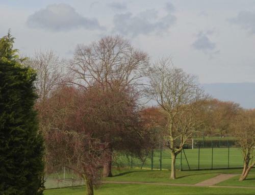 Hostal Alcuin Lodge Guest House