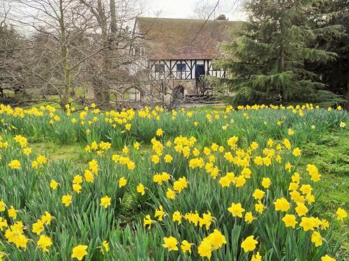 Hostal Alcuin Lodge Guest House