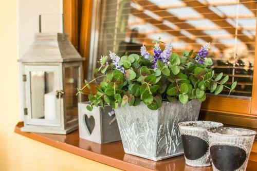 Hostal Penzion Prinz
