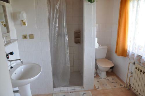 Hostal Penzion Haini?