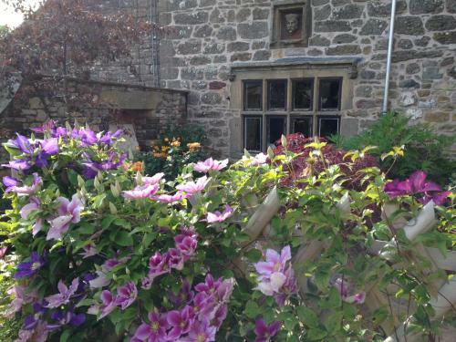 Bed & Breakfast Low Hall Country House