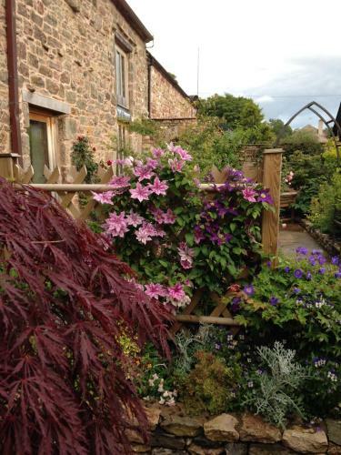 Bed & Breakfast Low Hall Country House