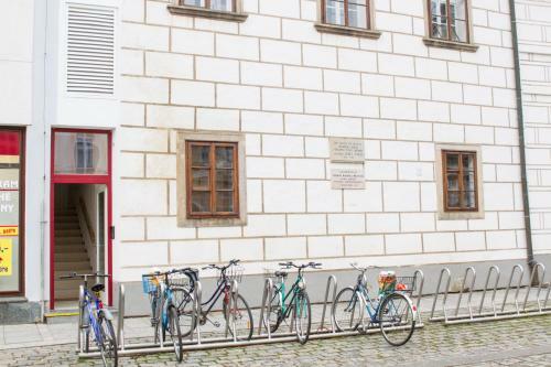 Apartments B�l� Ber�nek