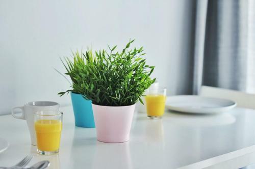 Apartamenty Centrum