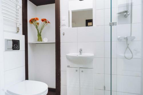 Apartamenty Europa