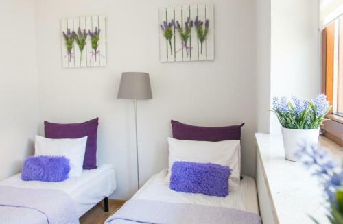 Hostal Apartamenty Velvet