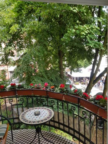Roza Sopot