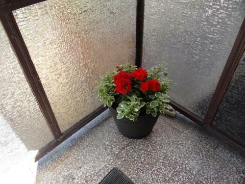 Hostal Stefanka