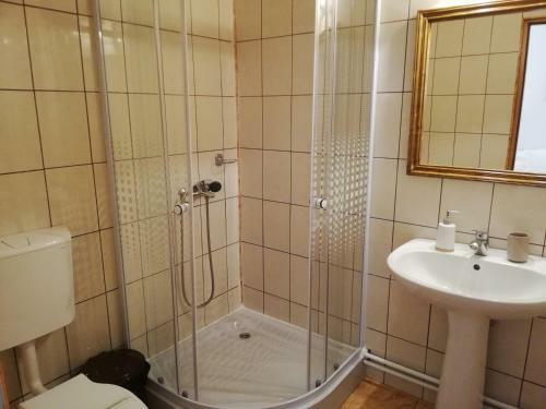 Hostal Pensiunea Casa Sighisoreana