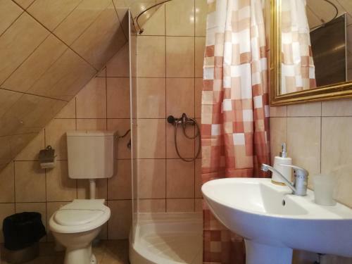 Hostal Pensiunea Casa Sighisoreana
