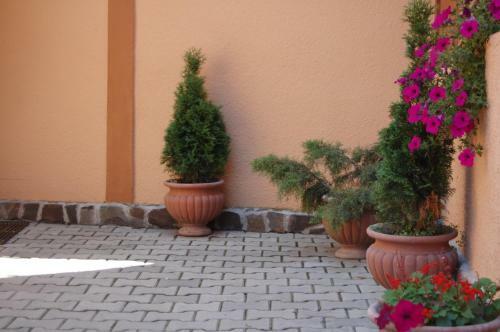 Hostal Pensiunea Casa Sighisoreana