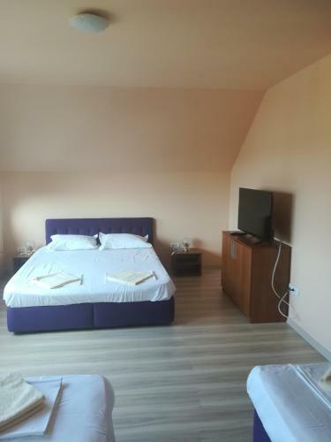 Hostal Pensiunea Dalena