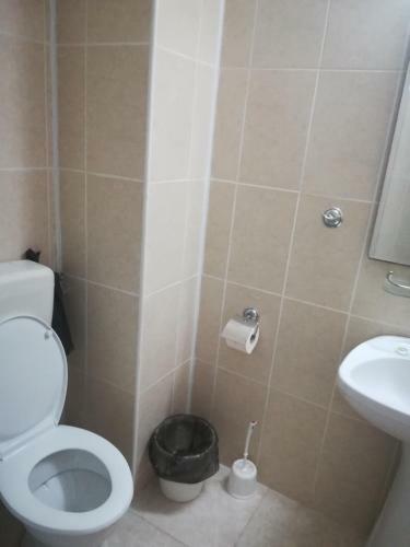 Hostal Pensiunea Dalena