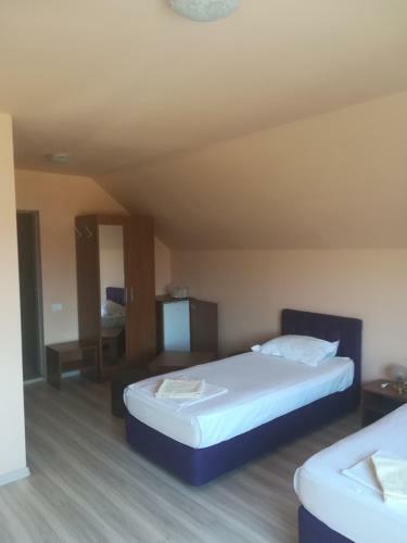 Hostal Pensiunea Dalena