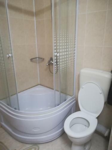 Hostal Pensiunea Dalena
