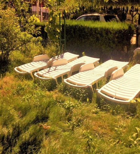 Hostal Pensiunea Dalena