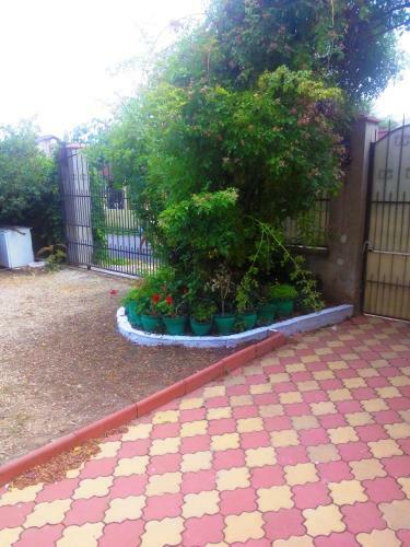 Hostal Pensiunea Dalena