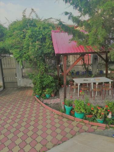 Hostal Pensiunea Dalena