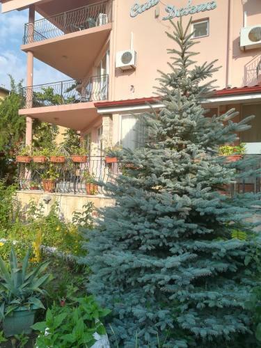 Hostal Pensiunea Dalena