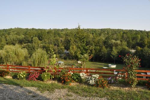 Lodge Cabana Floare De Maramures