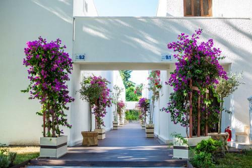 Hotel Mera Resort