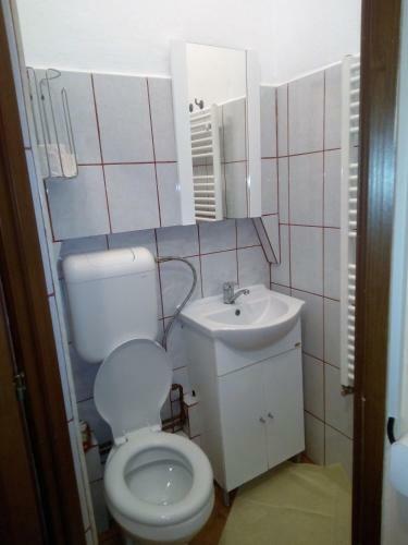 Apartament Central Adriana
