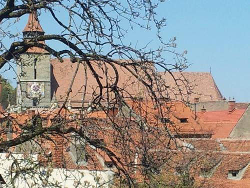 Apartament Wilhelmine