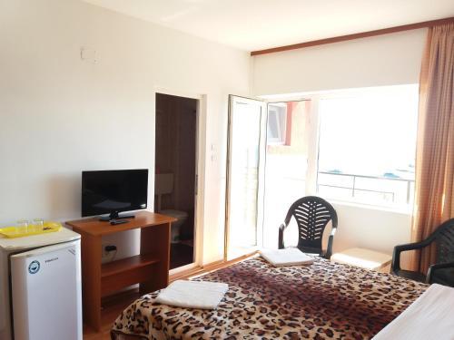 Hostal Vila Sophia Costinesti