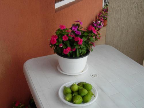 Hostal Vila Sophia Costinesti