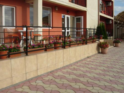 Hostal Vila Sophia Costinesti
