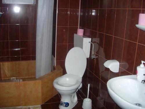 Hostal Vila Sophia Costinesti