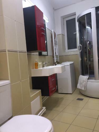 Apartament Unirii Centru