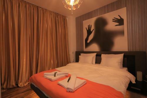 City Centre Victoriei Apartment