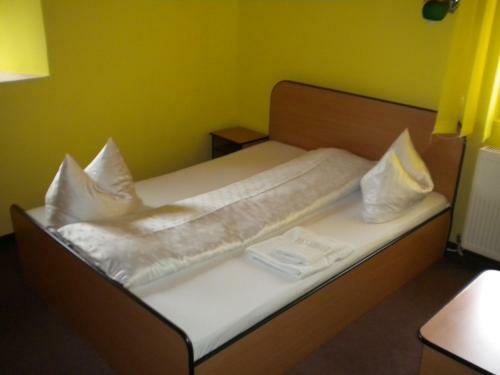 Hostal Pensiunea Carmena