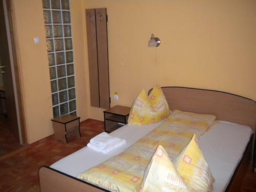 Hostal Pensiunea Carmena