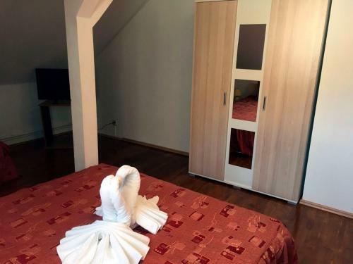 Hostal Pensiunea Vila Gabriel
