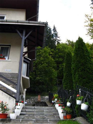 Hostal Pensiunea Vila Gabriel