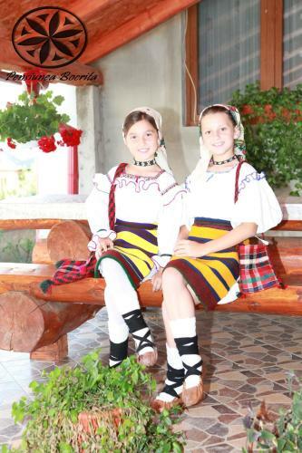 Hostal Pensiunea Bocrita