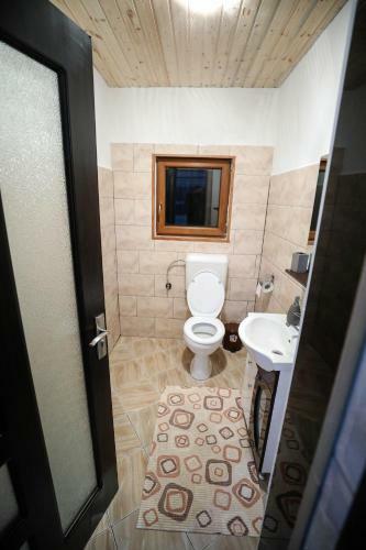 Hostal Pensiunea Bocrita