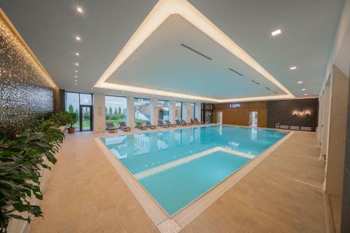 Hotel International