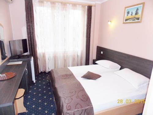 Hostal Pensiunea Sebastian