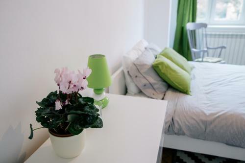 Neo Apartment Horea
