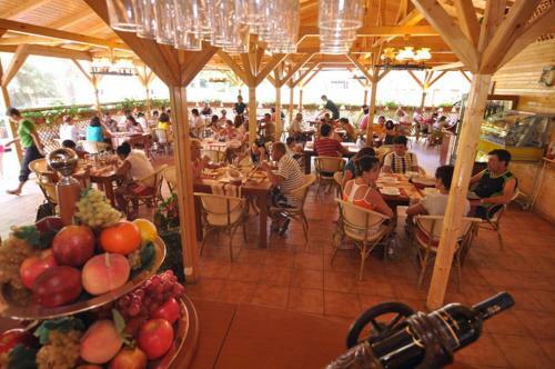 Hotel & Restaurant Valul Magic